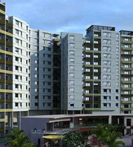 century-breeze-banner-image.jpg