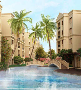 Legacy-Salvador-status-banner-image.jpg