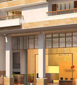 century-renata-banner-image.jpg
