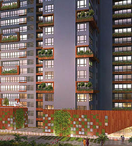 nitesh-chelsea-banner-image.jpg
